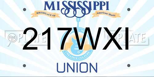 217WXI Mississippi License Plate