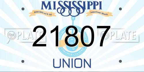 21807 Mississippi License Plate