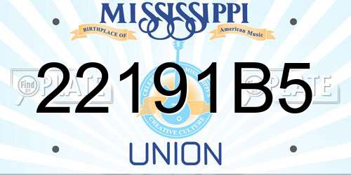 22191B5 Mississippi License Plate
