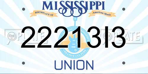 22213I3 Mississippi License Plate