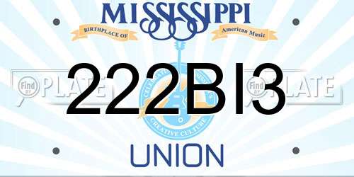 222BI3 Mississippi License Plate