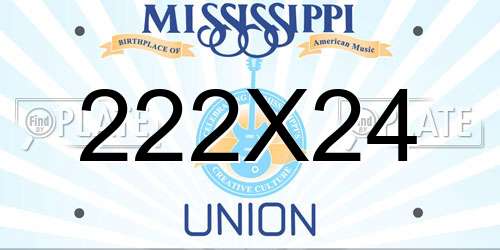 222X24 Mississippi License Plate