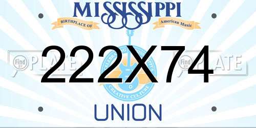 222X74 Mississippi License Plate