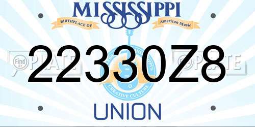 22330Z8 Mississippi License Plate