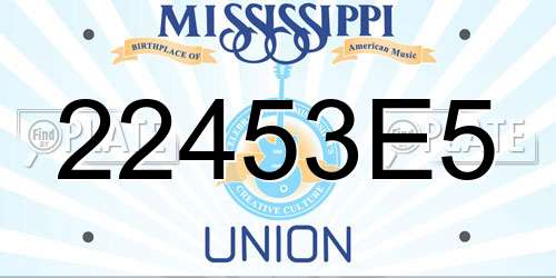 22453E5 Mississippi License Plate