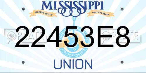 22453E8 Mississippi License Plate
