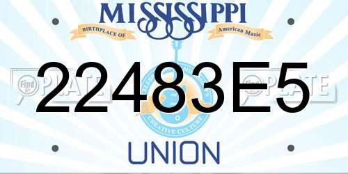 22483E5 Mississippi License Plate