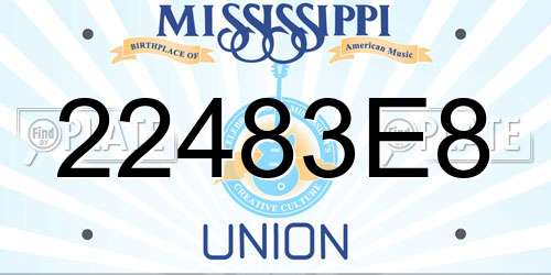 22483E8 Mississippi License Plate
