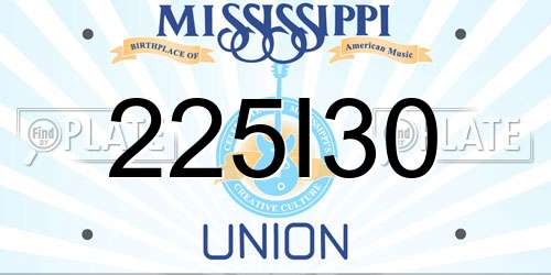 225I30 Mississippi License Plate