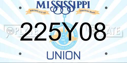 225Y08 Mississippi License Plate