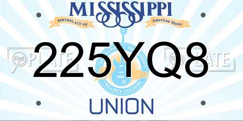225YQ8 Mississippi License Plate
