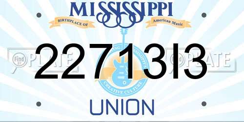 22713I3 Mississippi License Plate