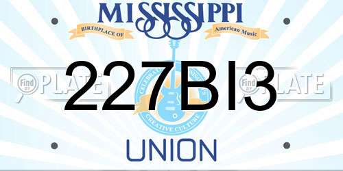 227BI3 Mississippi License Plate