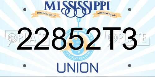 22852T3 Mississippi License Plate