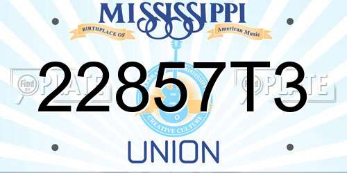 22857T3 Mississippi License Plate