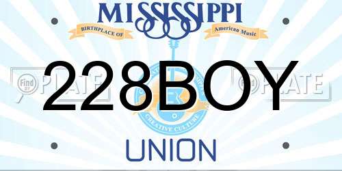 228BOY Mississippi License Plate