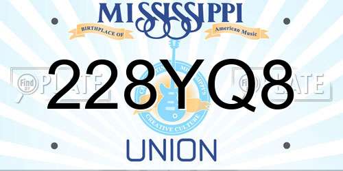 228YQ8 Mississippi License Plate