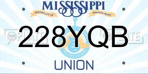 228YQB Mississippi License Plate