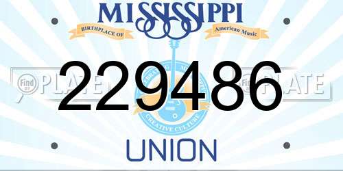 229486 Mississippi License Plate