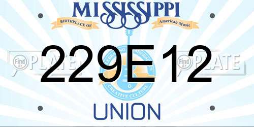229E12 Mississippi License Plate