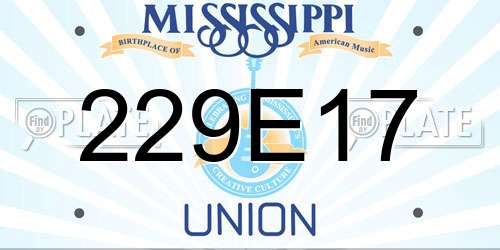 229E17 Mississippi License Plate