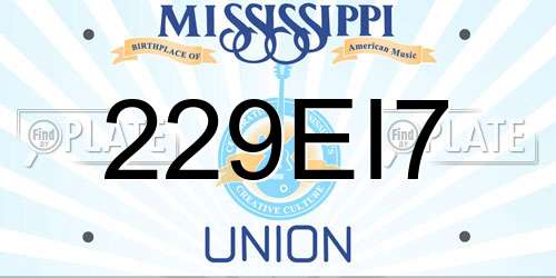 229EI7 Mississippi License Plate