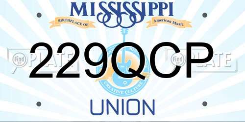229QCP Mississippi License Plate