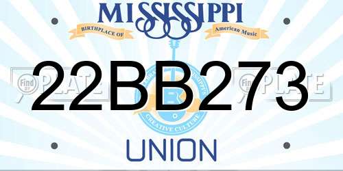 22BB273 Mississippi License Plate