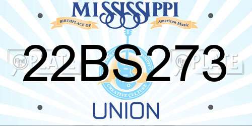 22BS273 Mississippi License Plate