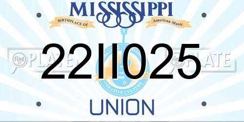 22II025 Mississippi License Plate