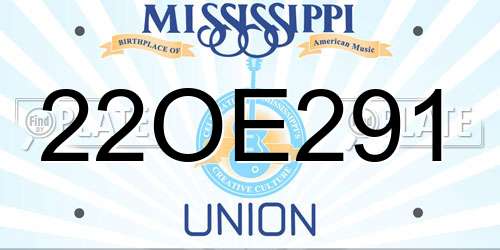 22OE291 Mississippi License Plate