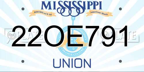 22OE791 Mississippi License Plate