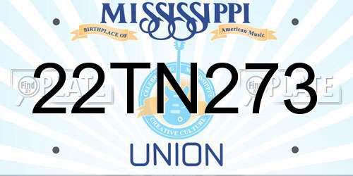 22TN273 Mississippi License Plate