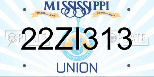 22ZI313 Mississippi License Plate