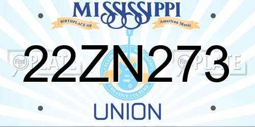 22ZN273 Mississippi License Plate