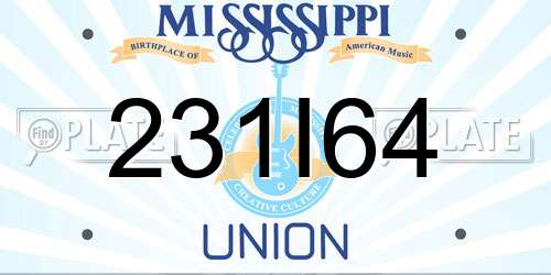 231I64 Mississippi License Plate
