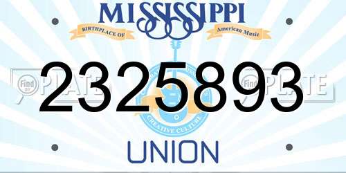 2325893 Mississippi License Plate