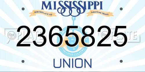 2365825 Mississippi License Plate
