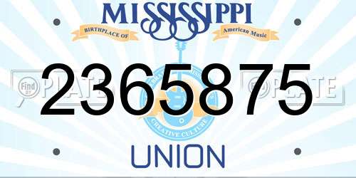 2365875 Mississippi License Plate