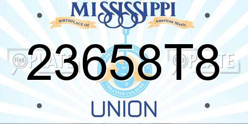 23658T8 Mississippi License Plate