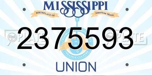 2375593 Mississippi License Plate