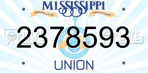 2378593 Mississippi License Plate