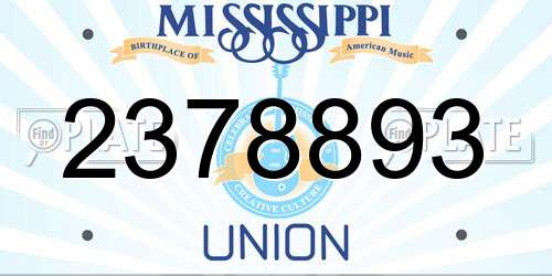 2378893 Mississippi License Plate