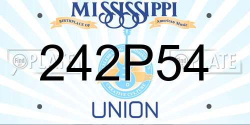 242P54 Mississippi License Plate