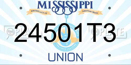24501T3 Mississippi License Plate