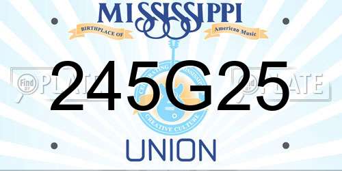 245G25 Mississippi License Plate