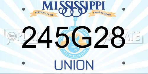 245G28 Mississippi License Plate