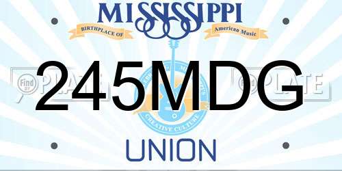 245MDG Mississippi License Plate