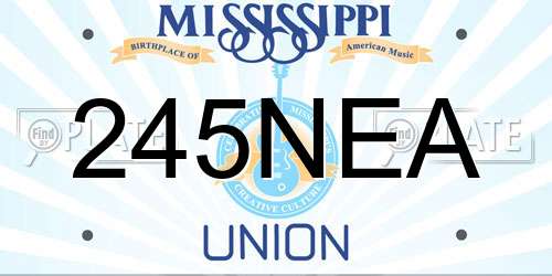 245NEA Mississippi License Plate