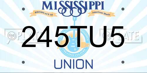 245TU5 Mississippi License Plate